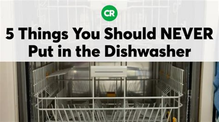 What should I not put in the dishwasher?