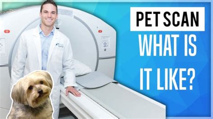 What should light up on a PET scan?