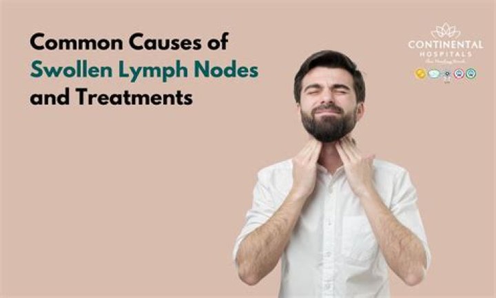 What should lymph nodes feel like?