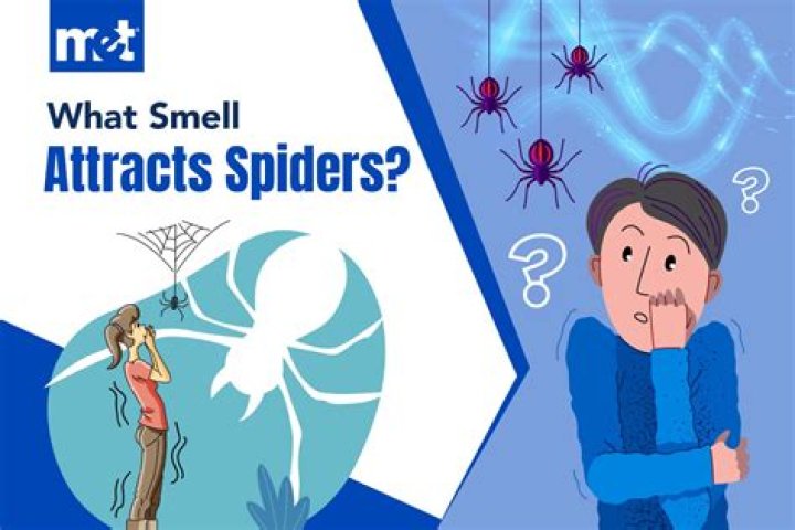 What smell attracts males?