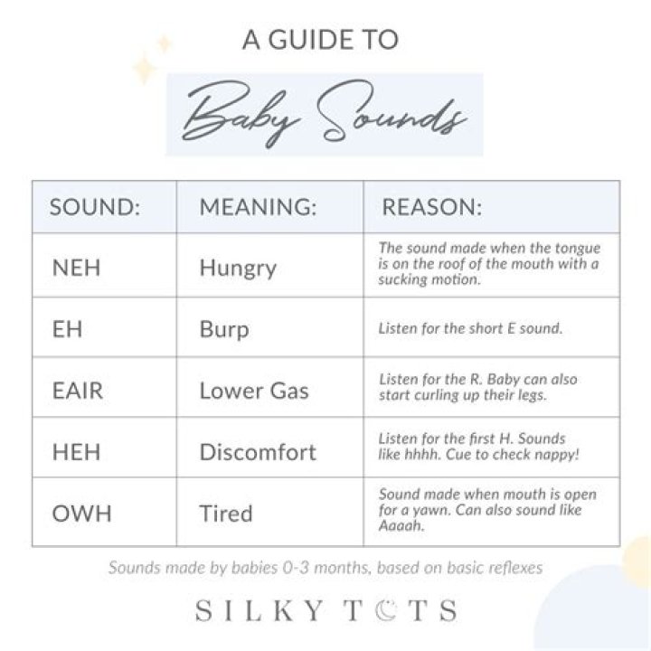 What sound does a baby mouse make?