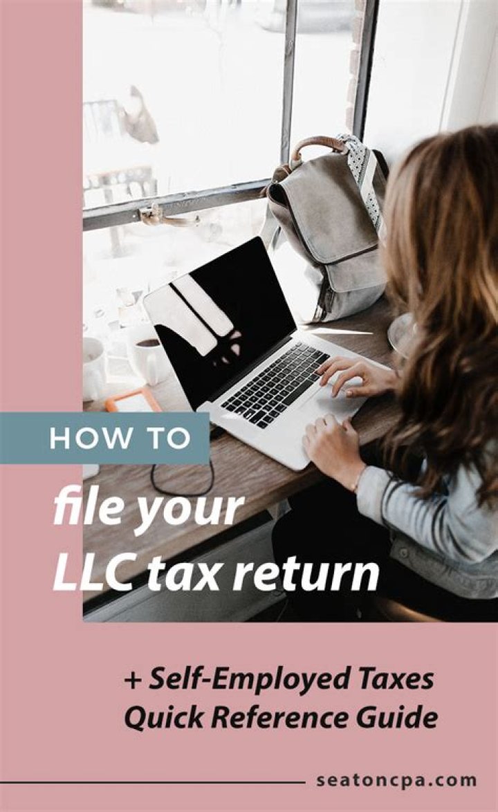 What tax return does a single member LLC file?