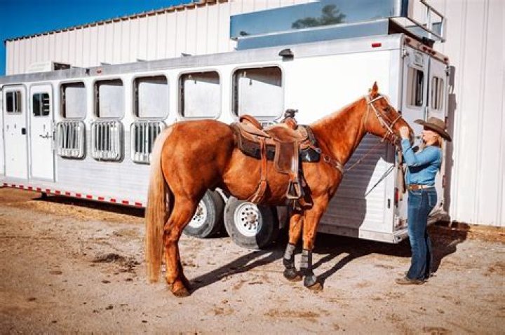 What to know about trailering a horse?
