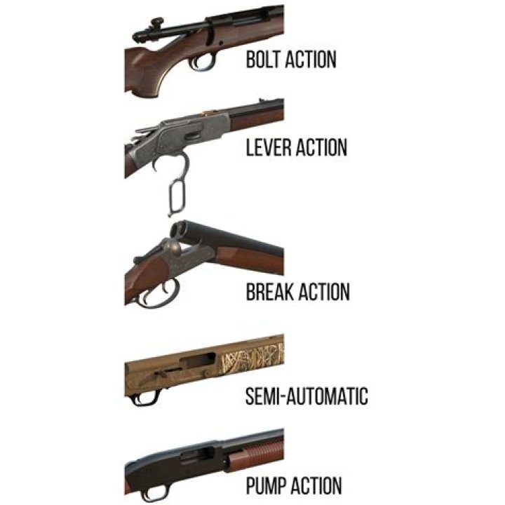 What type of action is sneezing?