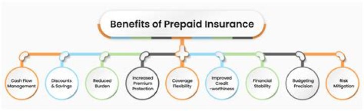 What type of adjustment is prepaid insurance?