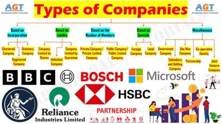 What type of corporation is best for small business?