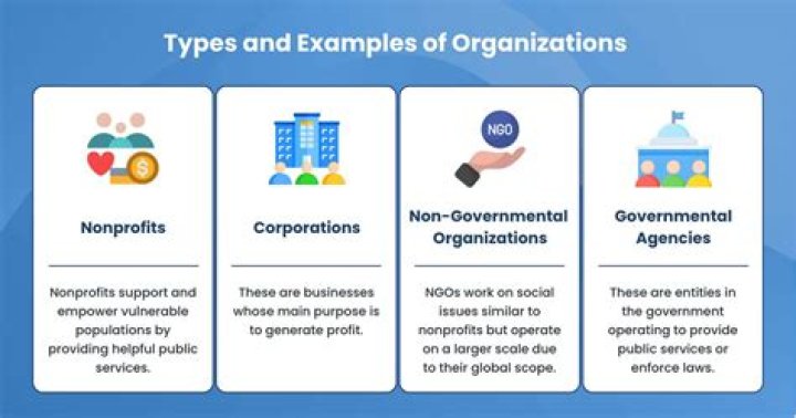What type of organizations are 501 C 3?