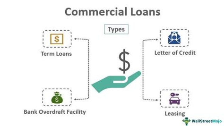 What types of commercial loans are there?