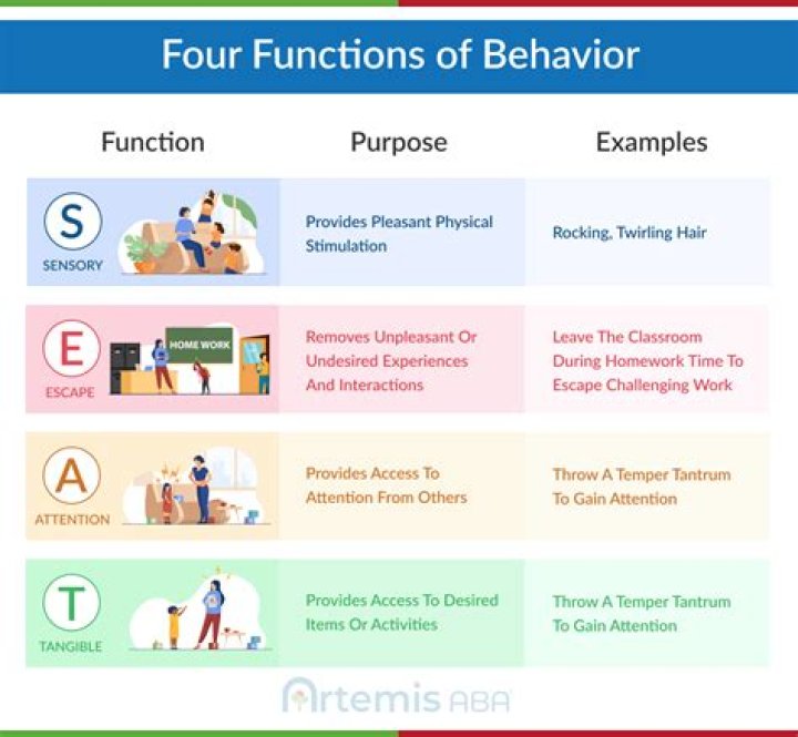 What types of student behaviors should we not punish?