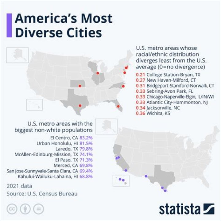 What US city has the most diverse population?
