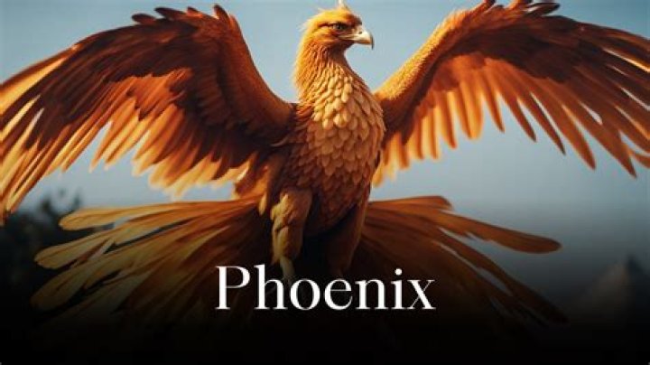 What would a phoenix eat?