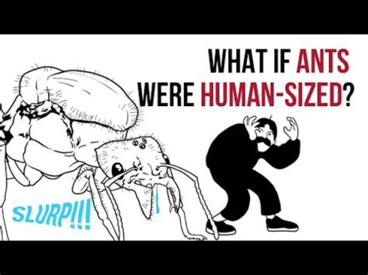 What would happen if ants were the size of humans?