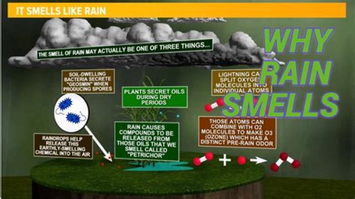 What would Zelda smell like?