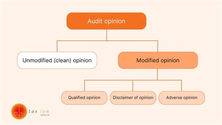 When an auditor issues an adverse report he or she must use the term?