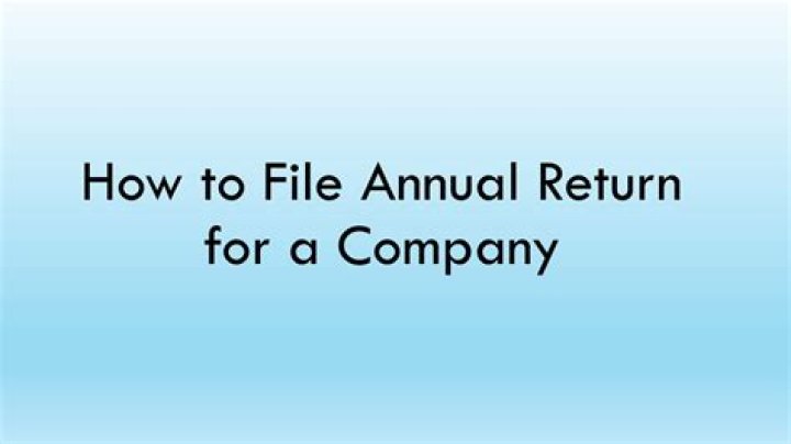 When must a company file its annual return?