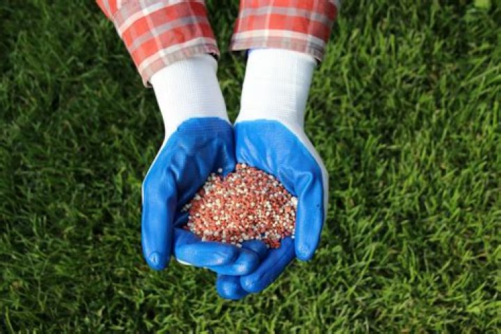 When should I put winter fertilizer on my lawn?
