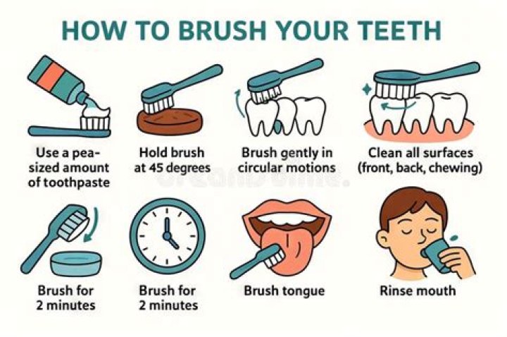When should I stop brushing my cat?