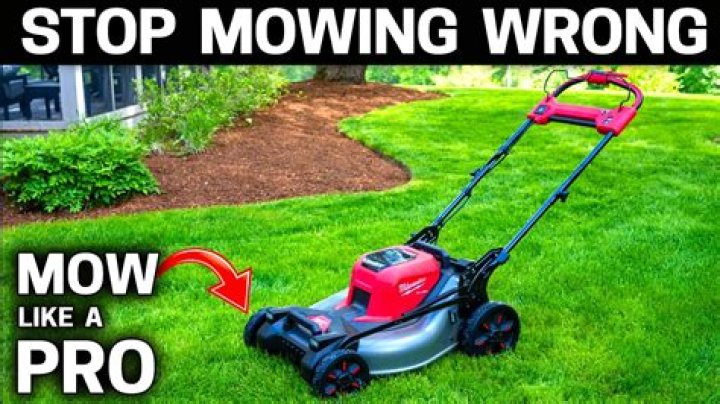 When should you stop mowing for winter?