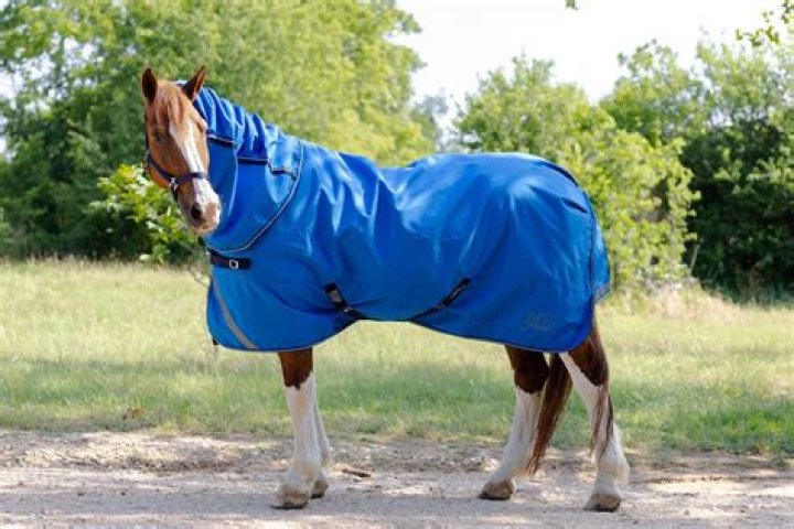 When to blanket a horse in the rain?