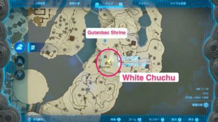 Where can I buy ice Chuchus?