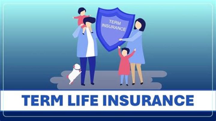 Where can I find cheap term life insurance?