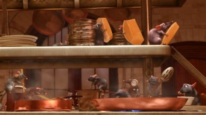 Where do rats hide in the kitchen?