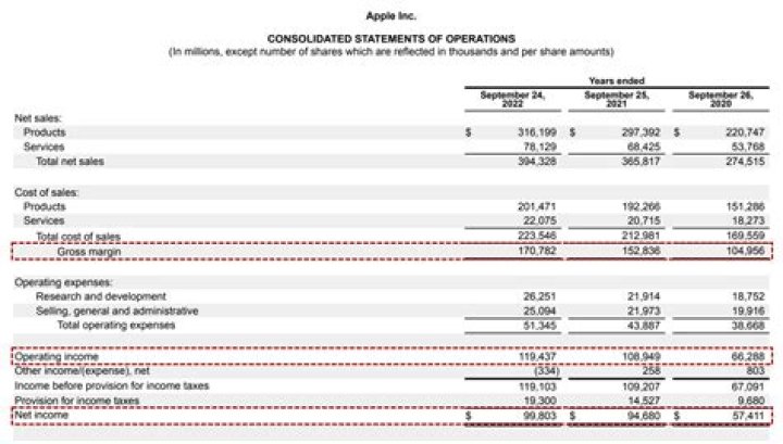 Where does loan interest go on income statement?