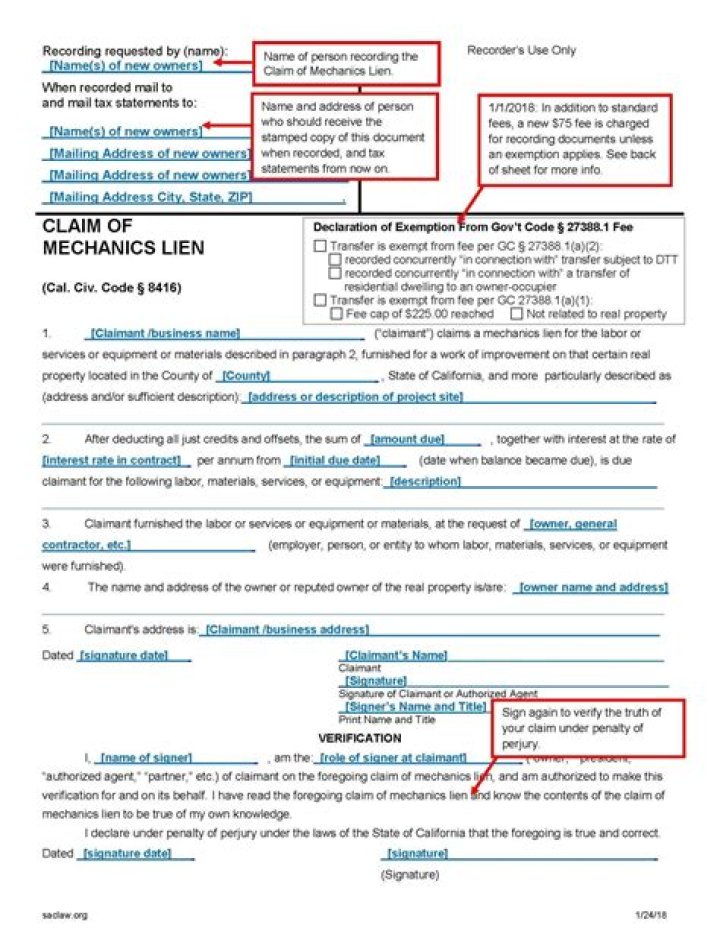 Where is the name lien from?