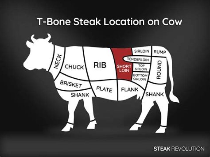 Where is the T-bone on a cow?