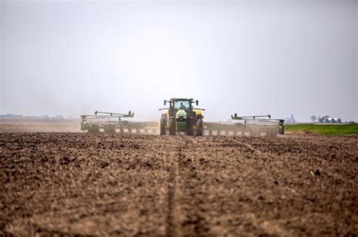 Which bank gives loan to farmers?