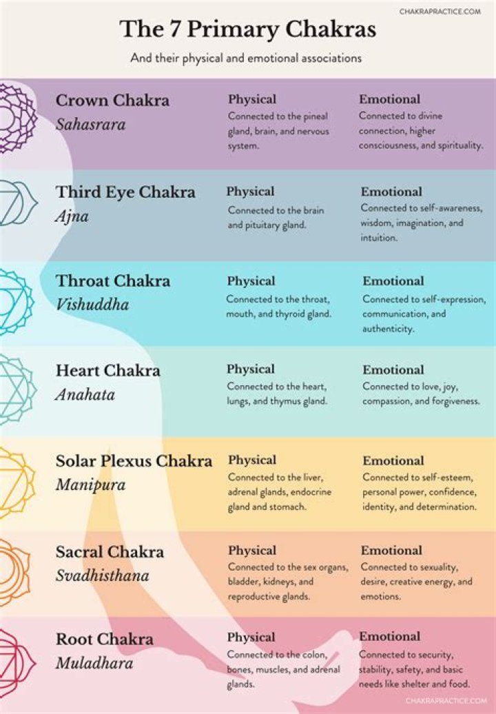 Which chakra is related to beauty?