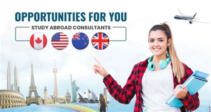 Which consultant is best for abroad job?