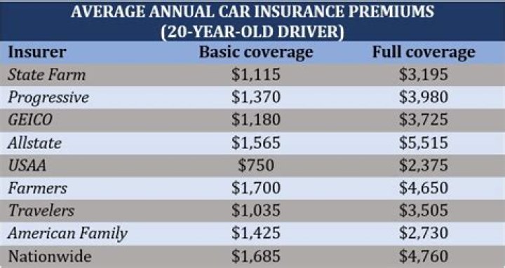 Which drivers would most likely pay the highest insurance premium?