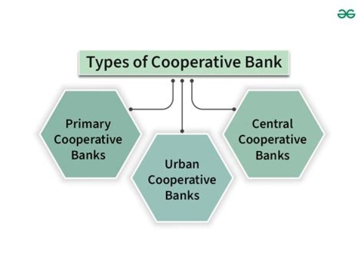 Which institute refinance to primary cooperative banks?