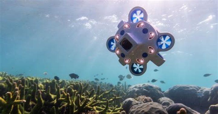 Which iPhone can go underwater?