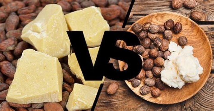 Which is better cocoa or shea butter?