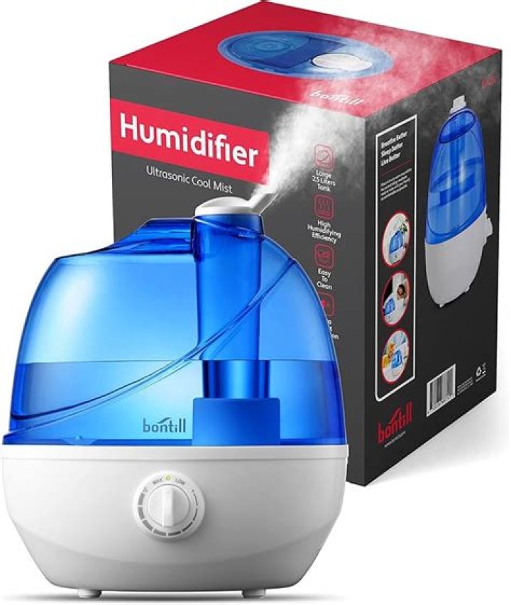 Which is better for asthma humidifier or air purifier?
