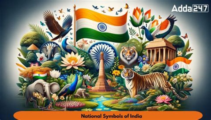 Which is our national symbol?