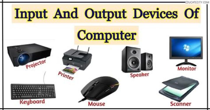 Which is the pointing device of computer?