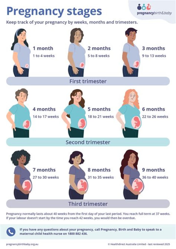 Which month we can know pregnancy?