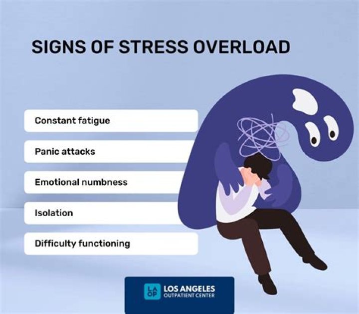 Which of the following are emotional warning signs of stress overload?