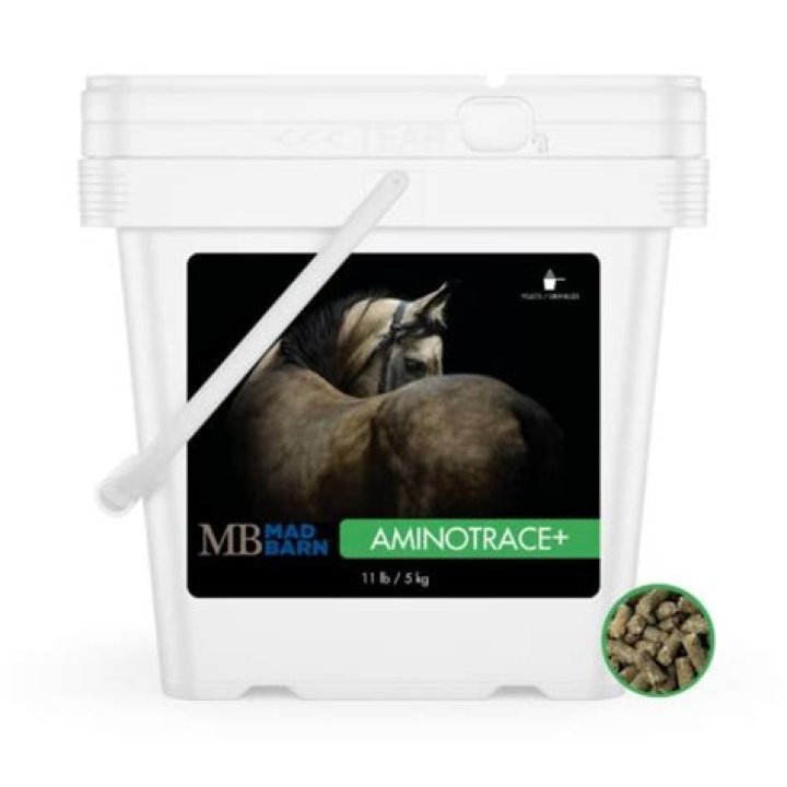 Which omega is best for horses?