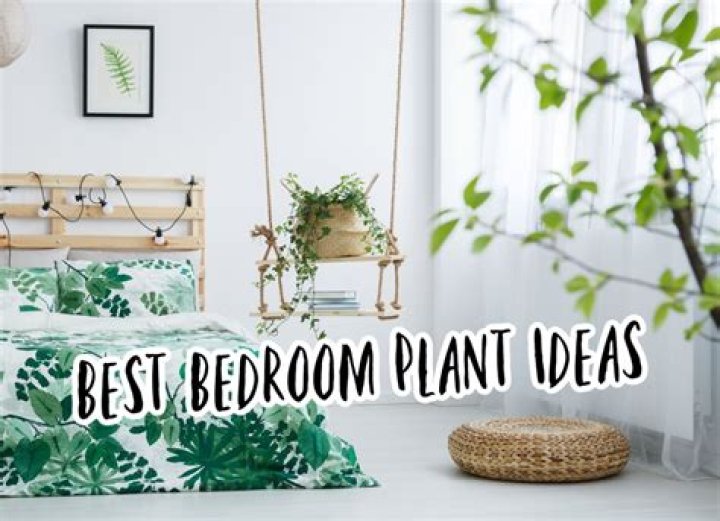 Which plant should be kept in bedroom?