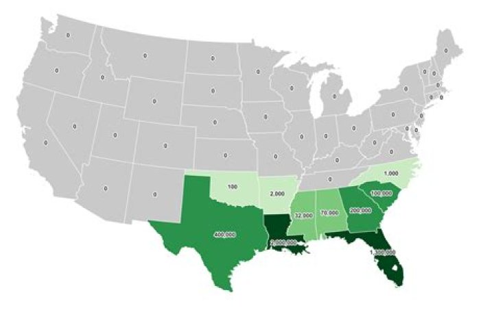 Which state has the most bison?