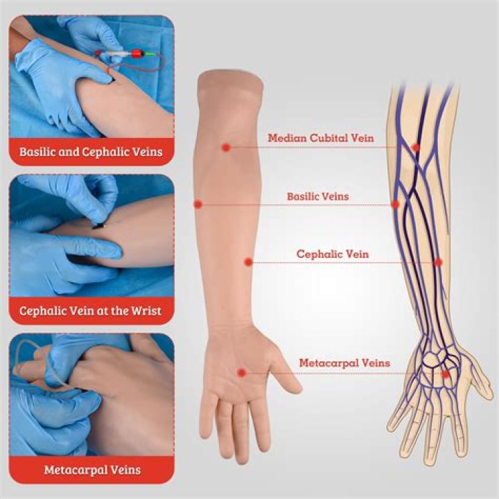 Which vein is blood most commonly taken from?