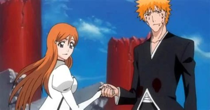 Who are the Canon couples in Bleach?