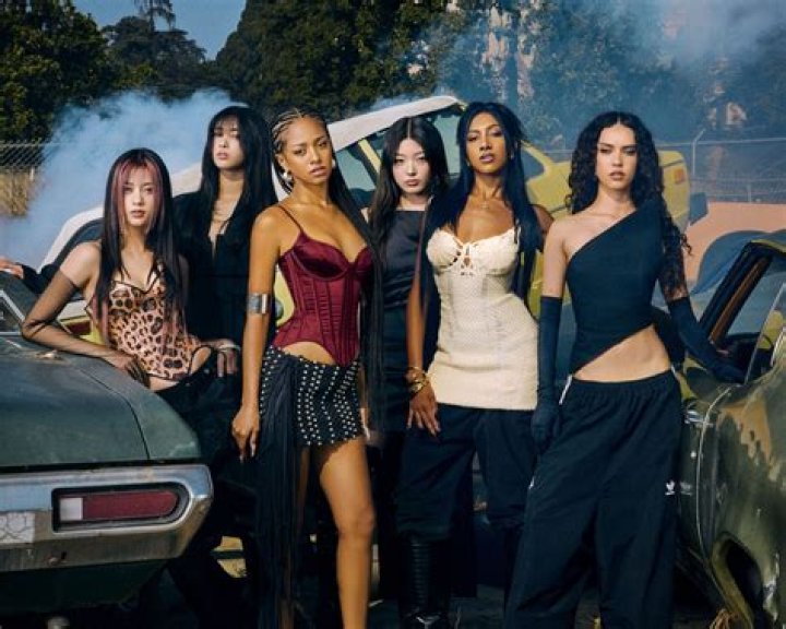 Who are the members of a LLC and shares?