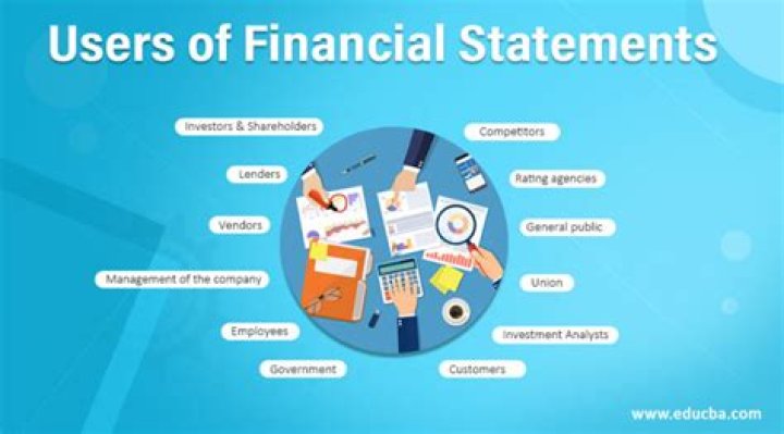 Who are the users of the financial statements?