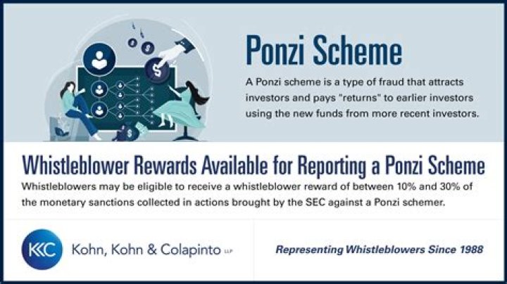 Who are the victims of Ponzi schemes?