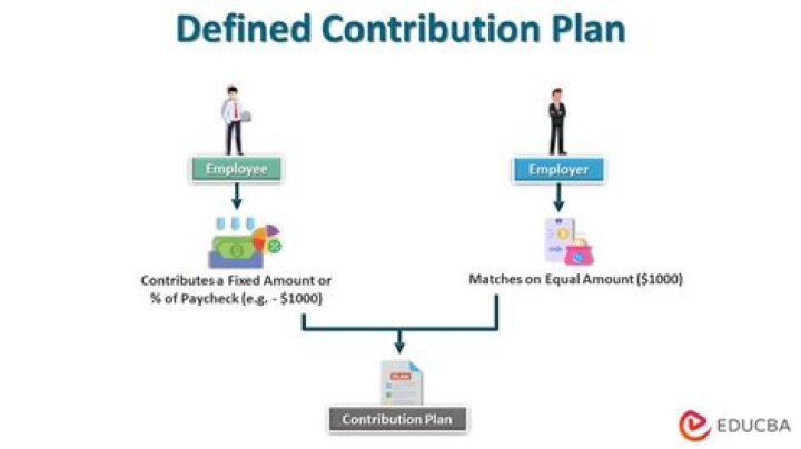 Who can contribute to a defined contribution plan?